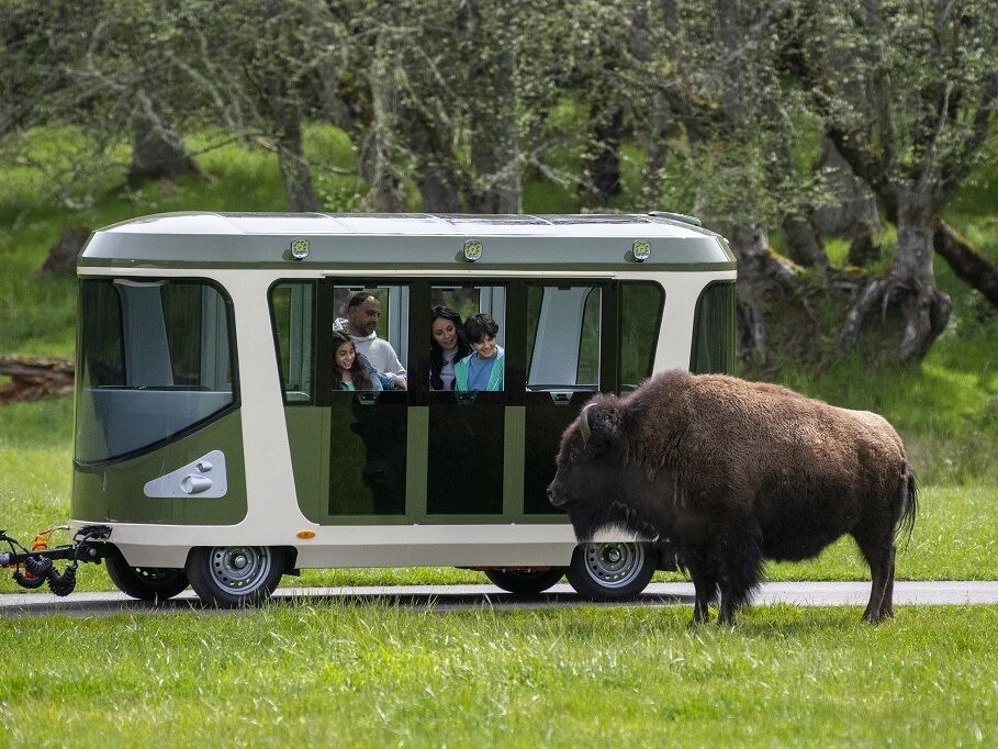 Picture of Northwest Trek Wildlife Park