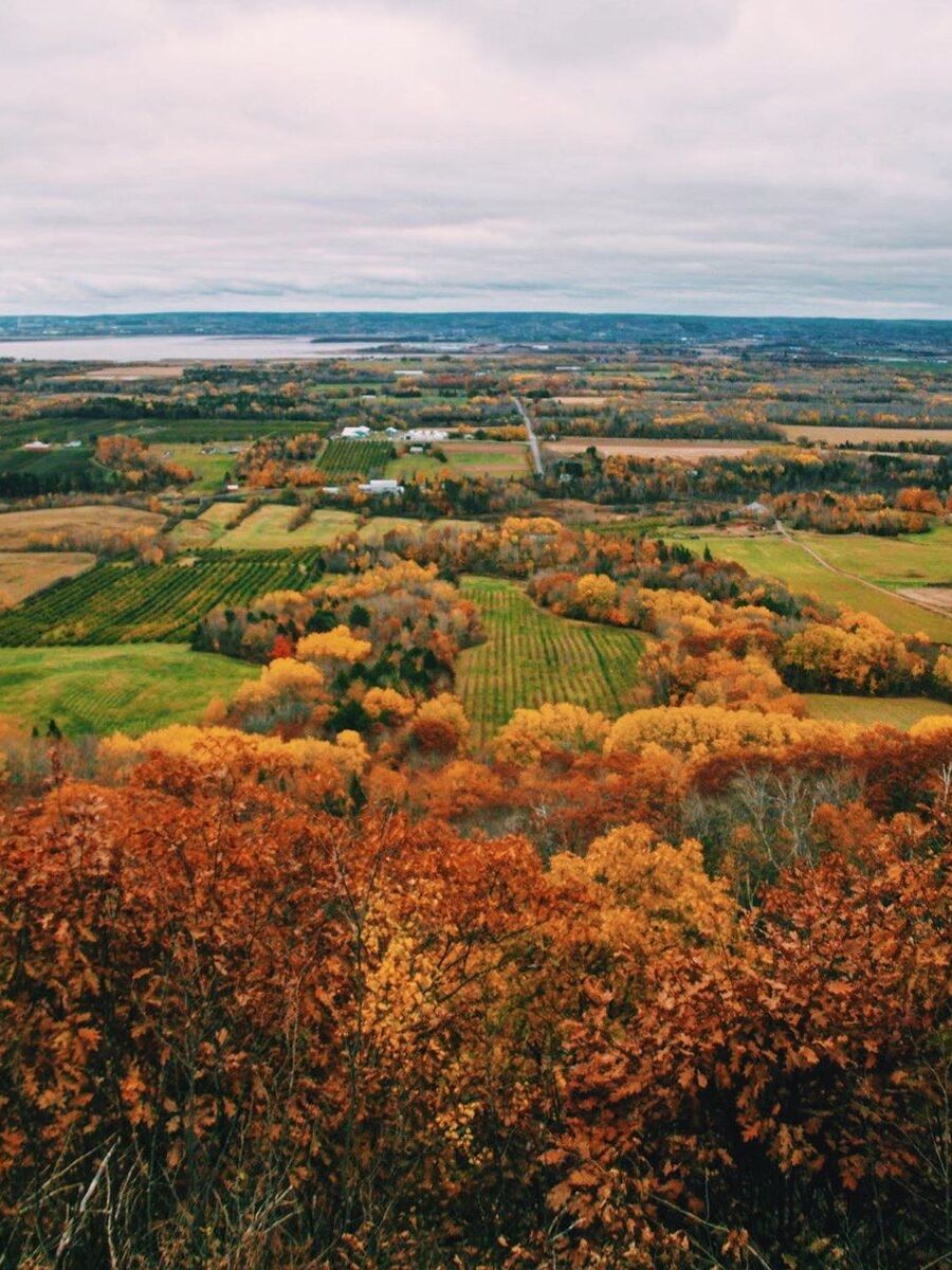 Picture of Blomidon Look-Off