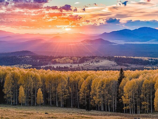 Picture of Flagstaff