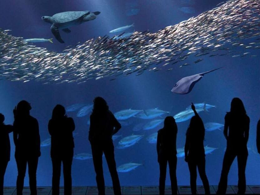 Picture of Monterey Bay Aquarium