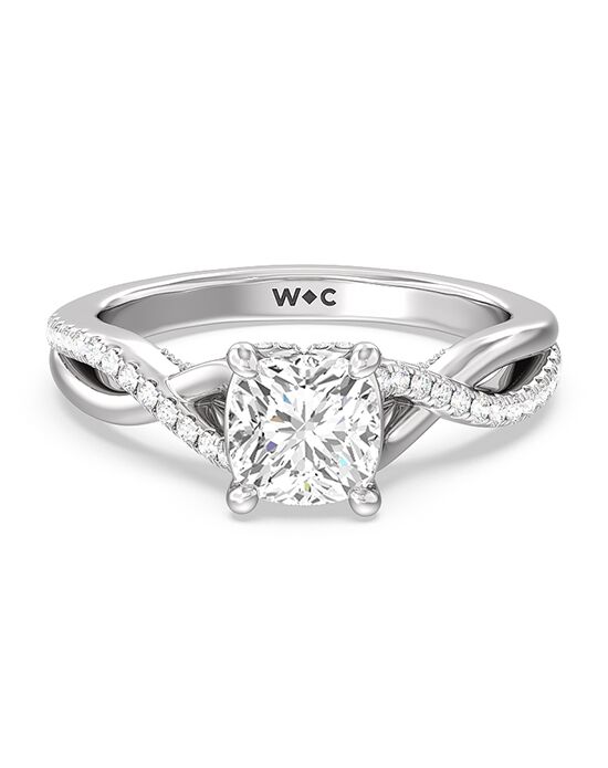 With Clarity Elegant Princess, Cushion, Emerald, Heart, Pear, Radiant, Round, Oval Cut Engagement Ring - 1