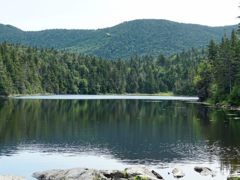 Picture of Sterling Pond Trail