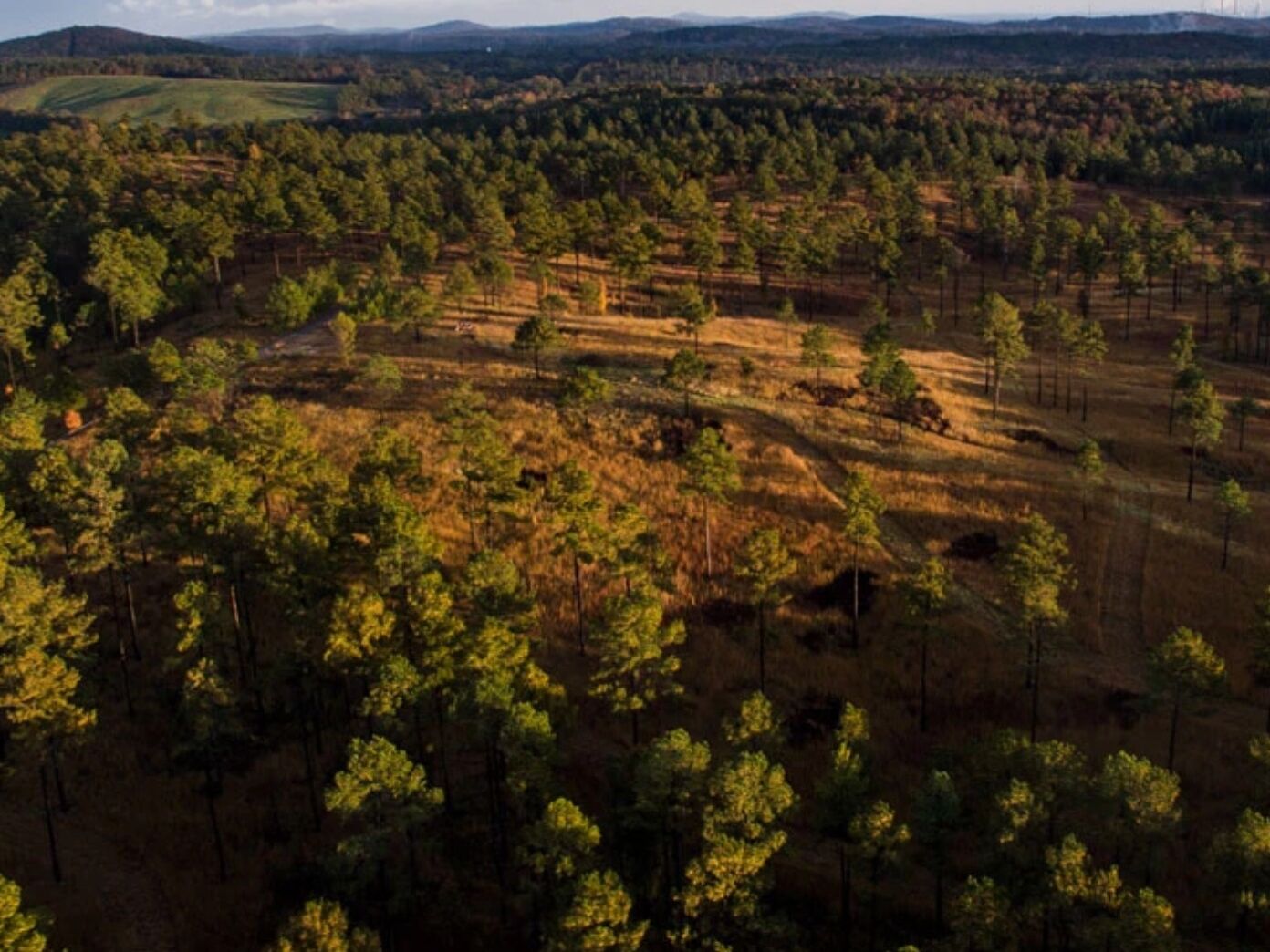 Picture of Barnsley Recreation