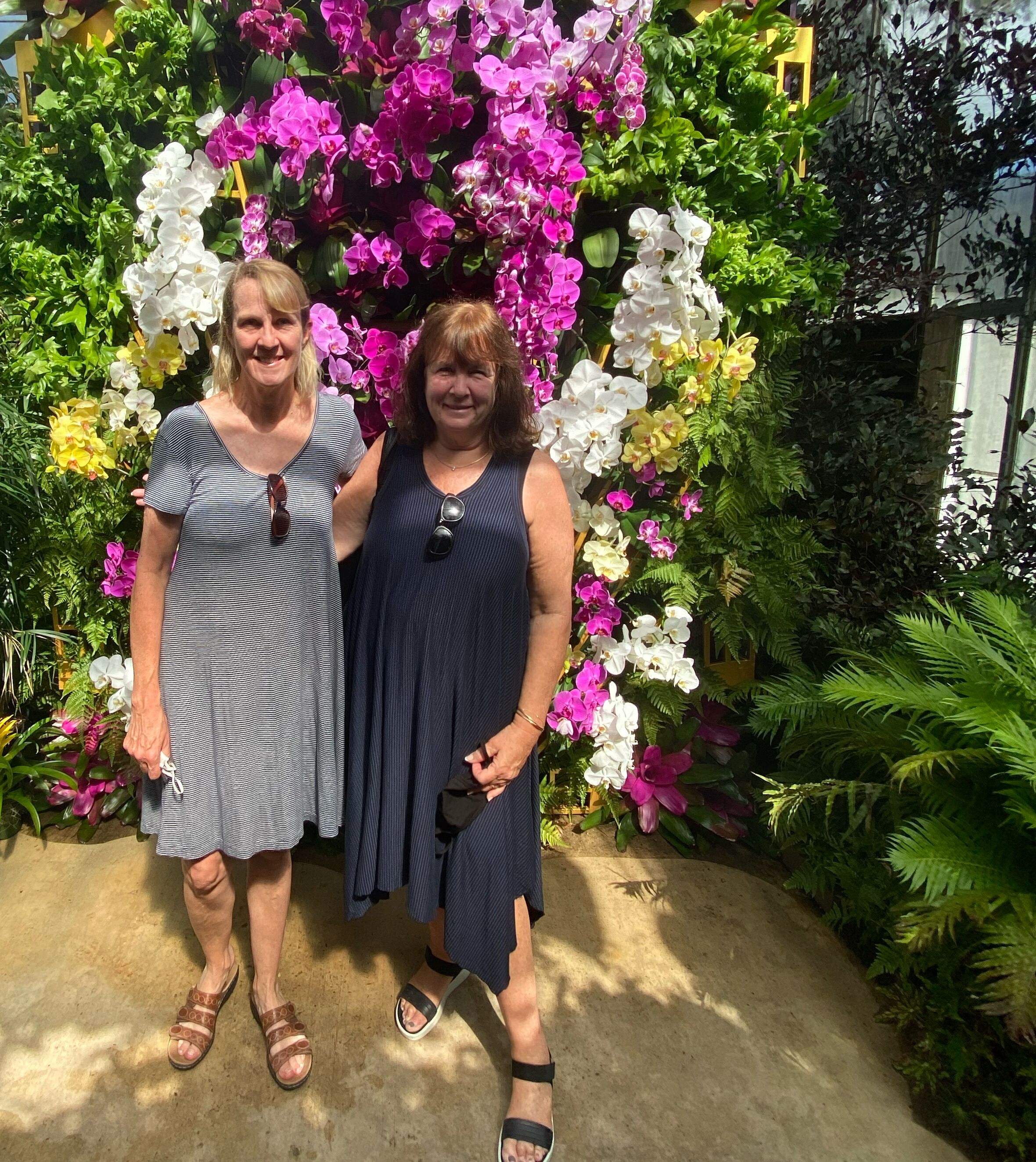 Picture of Marie Selby Botanical Gardens