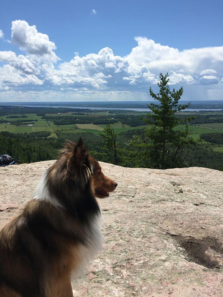 Picture of Gatineau Park- Wolf Trail