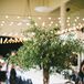 Tall Centerpieces with Greenery