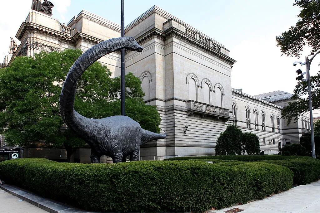 Picture of Carnegie Museum of Natural History