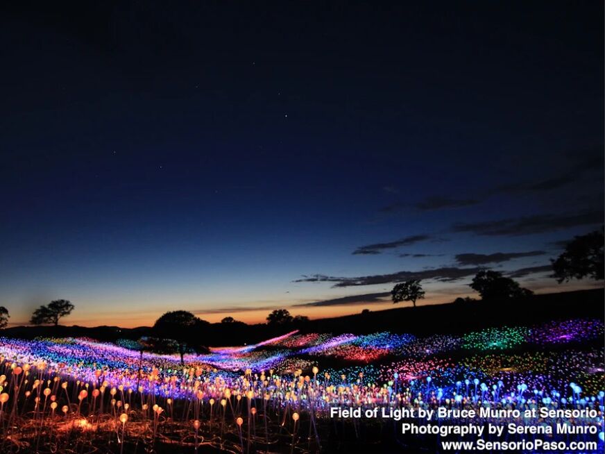 Picture of Field of Lights at Sensorio