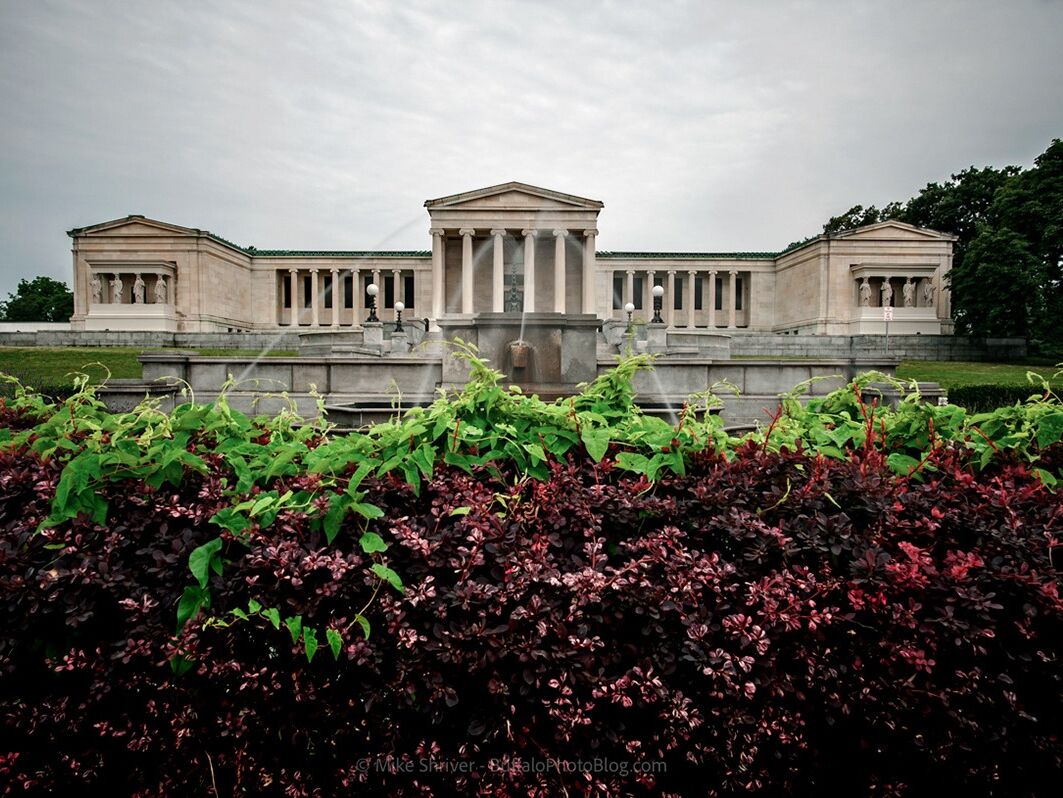 Picture of Buffalo AKG Art Museum