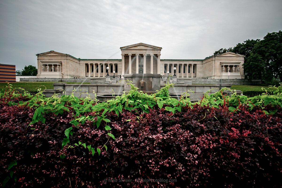 Picture of Buffalo AKG Art Museum