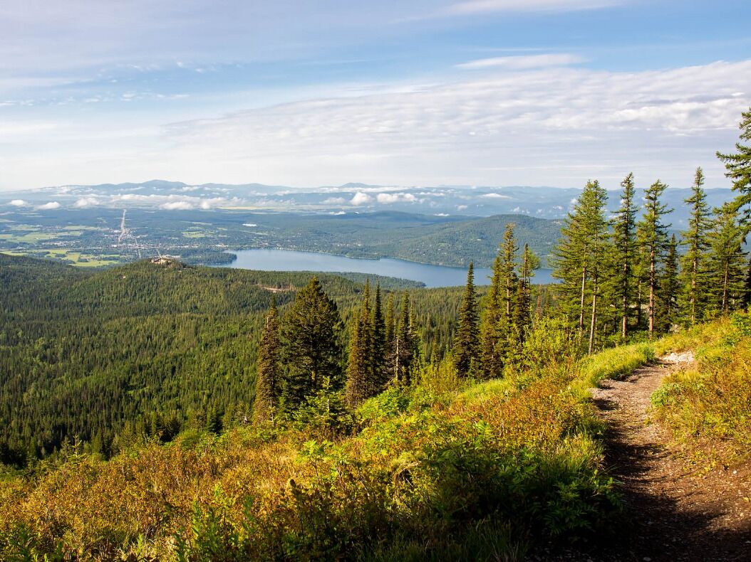 Picture of Whitefish Mountain Resort