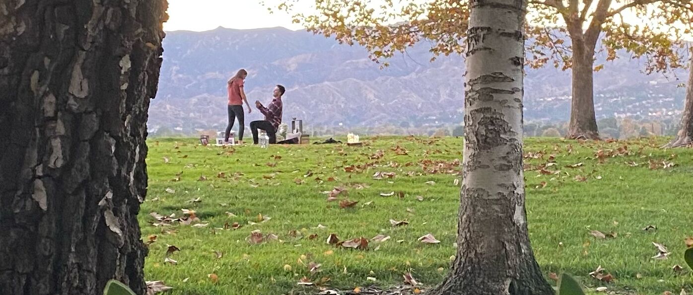 Picture of Engagement