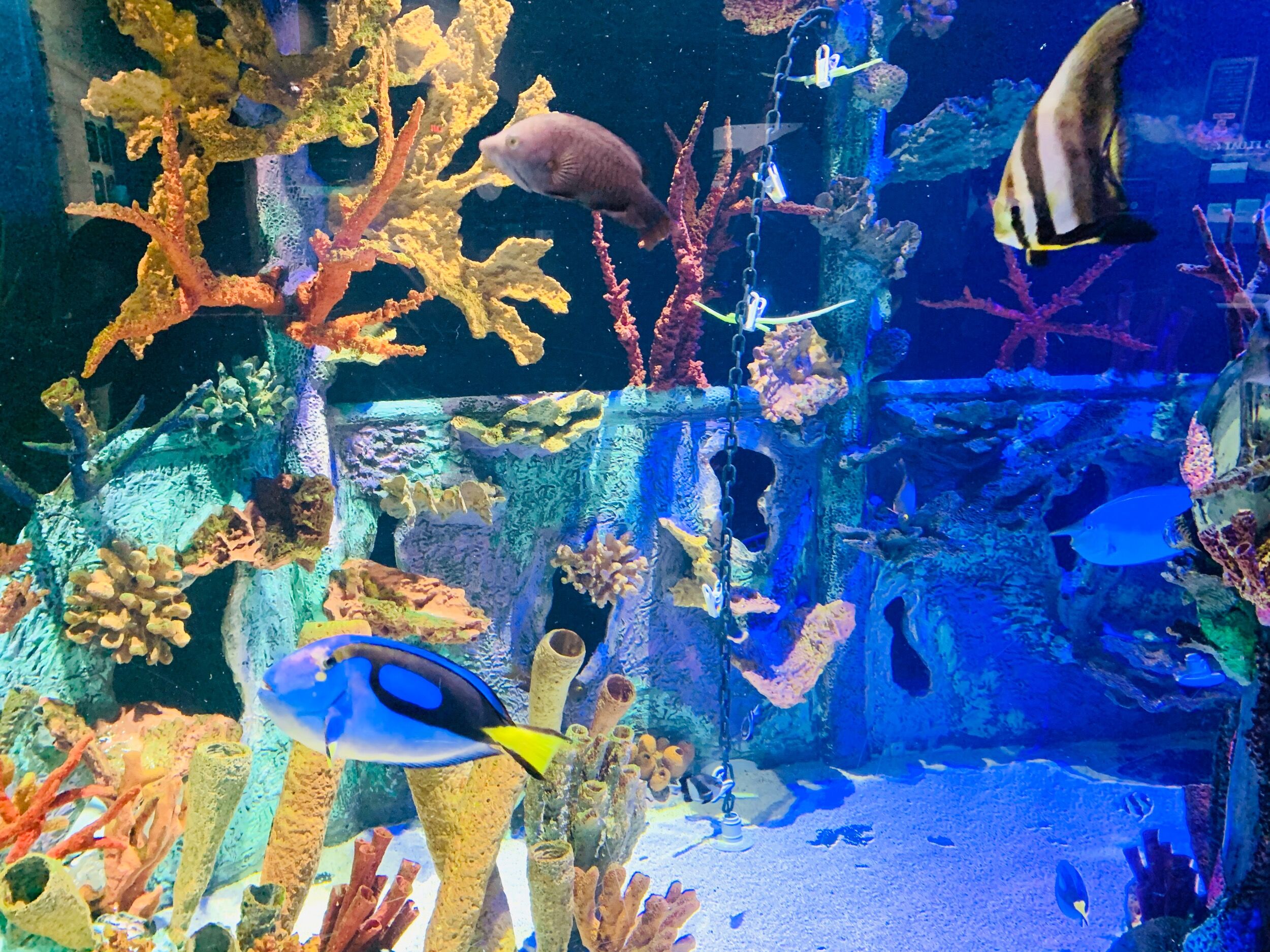 Picture of Great Lakes Aquarium