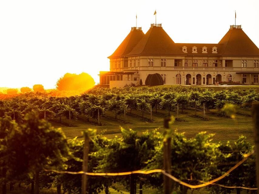 Picture of Chateau Elan Winery & Resort