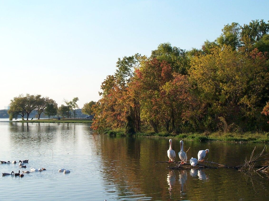 Picture of White Rock Lake Park