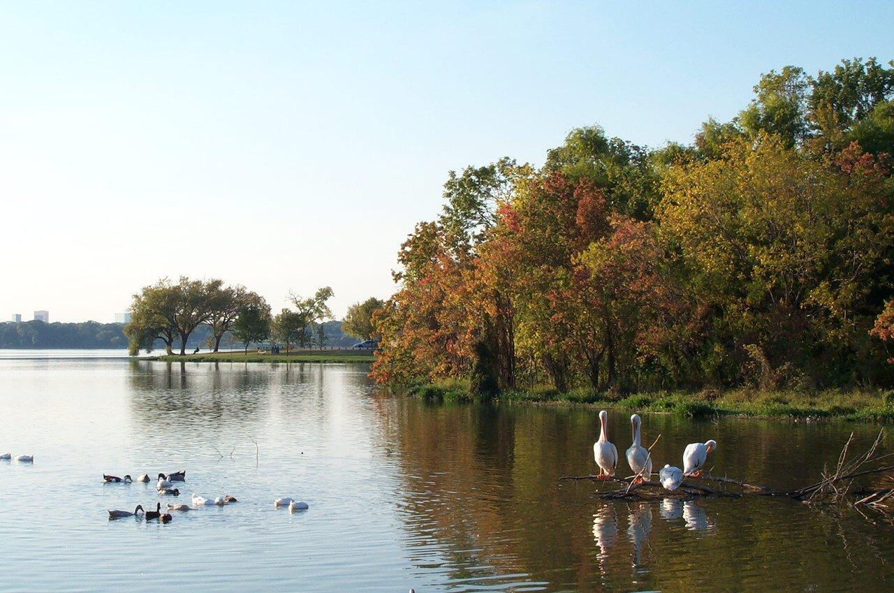Picture of White Rock Lake Park