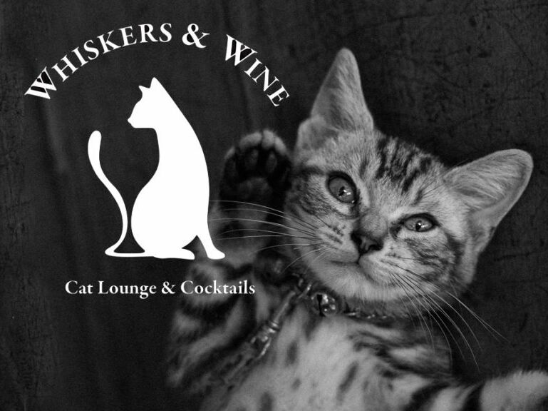 Picture of Whiskers & Wine Cat Lounge and Cocktails