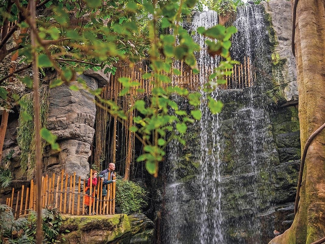 Picture of Omaha's Henry Doorly Zoo and Aquarium
