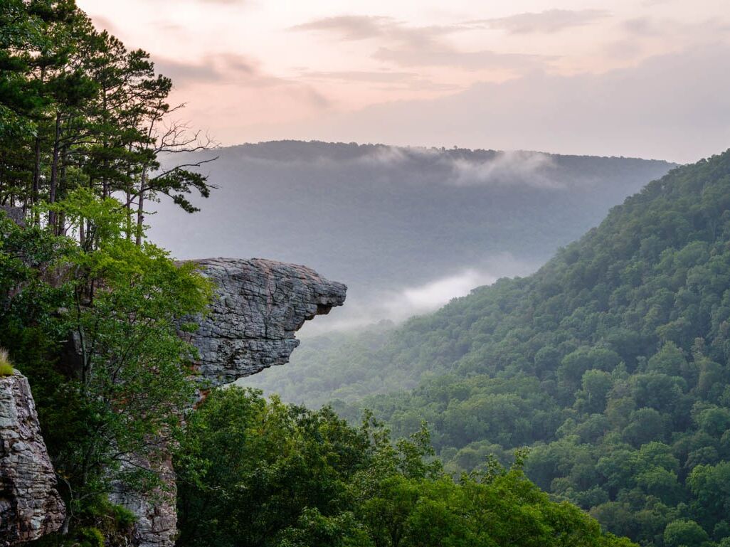 Picture of Natural State
