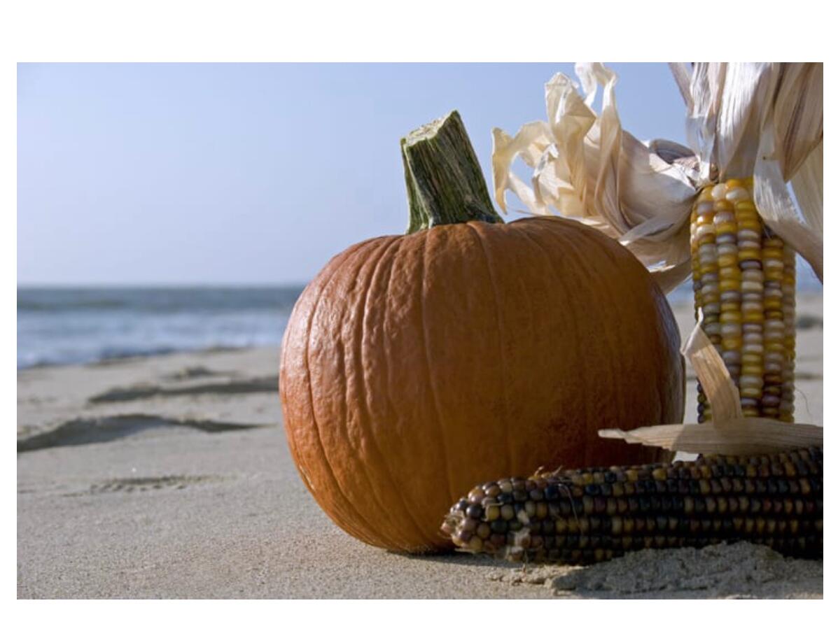 Picture of Things To Do In Myrtle Beach In October