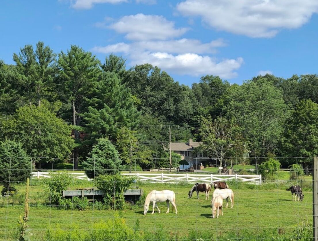 Picture of Brookhollow's Barnyard