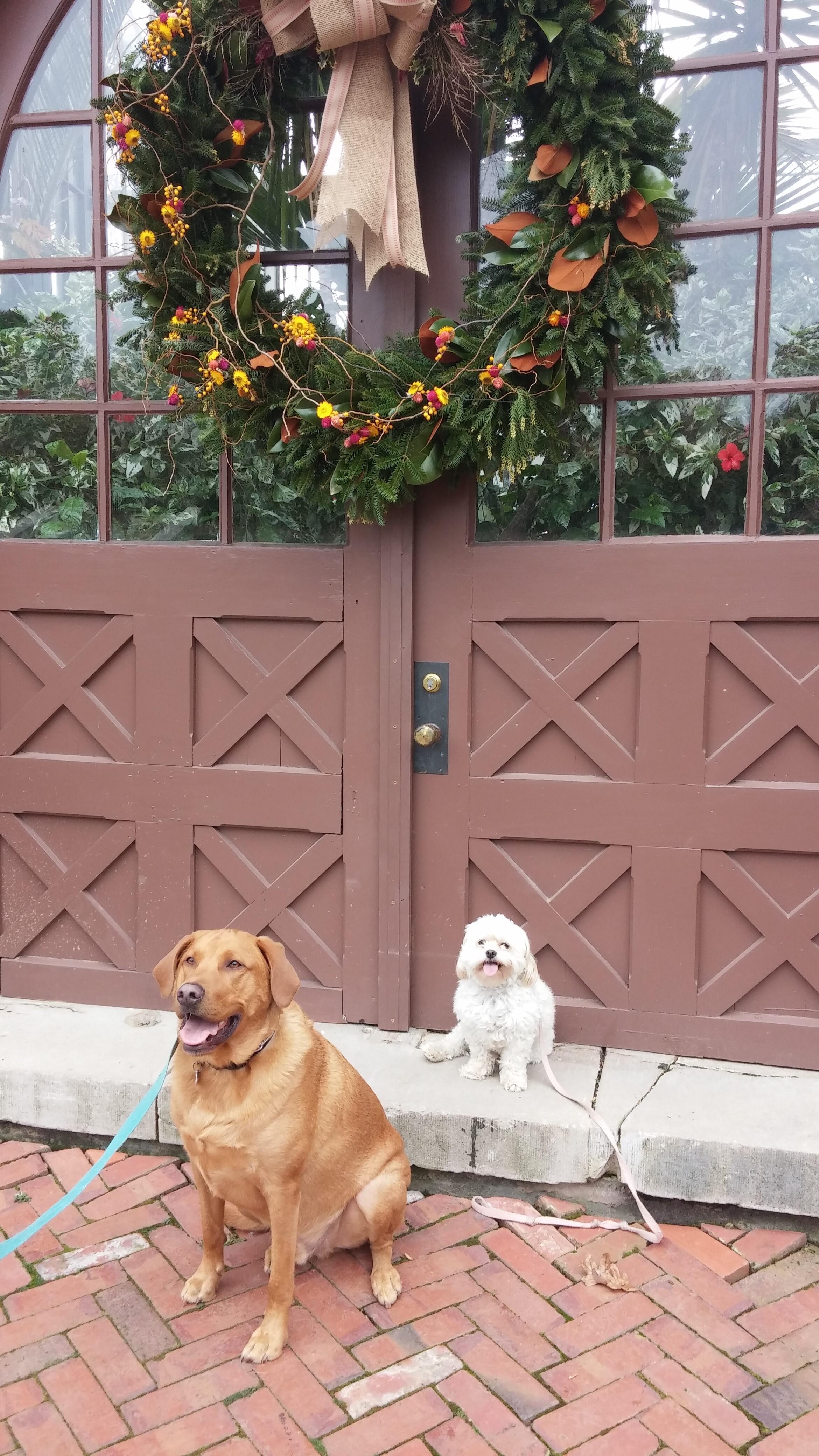 Album Photo 4
