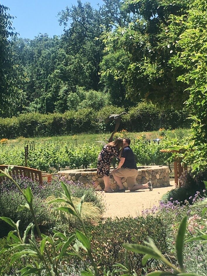 Picture of #BohnsSwipeRight - The Proposal