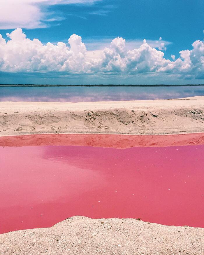 Picture of Sparkling Pink Lagoon