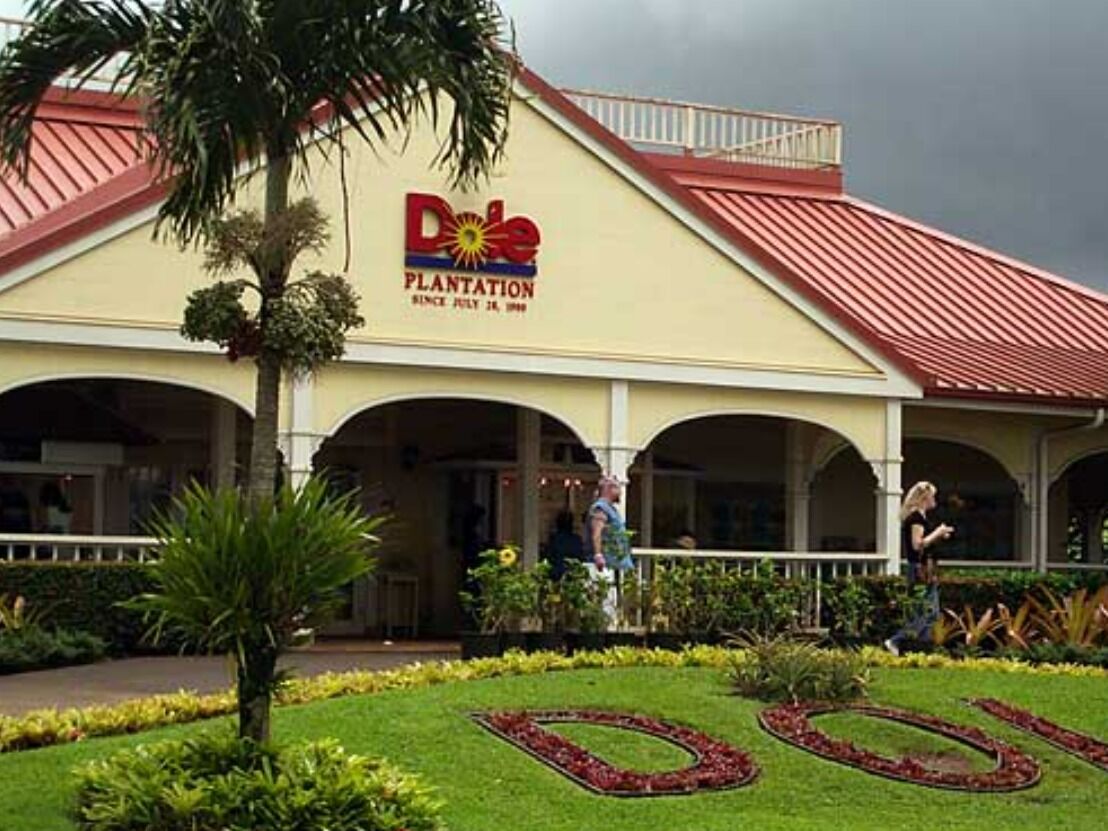 Picture of Dole Plantation