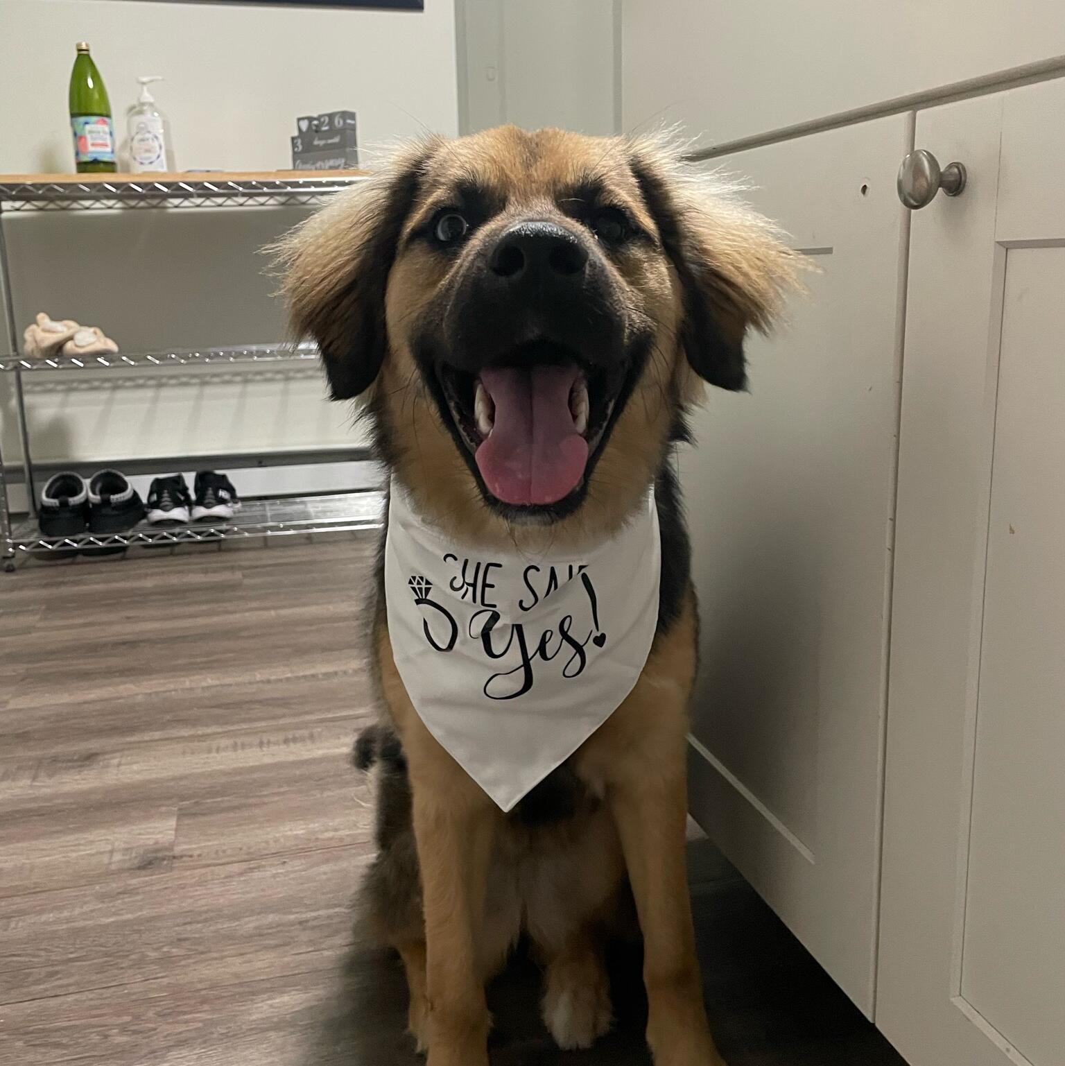 Nala