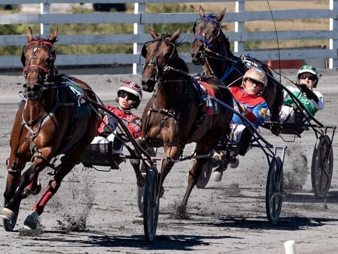 Picture of Saratoga Harness Racing Inc