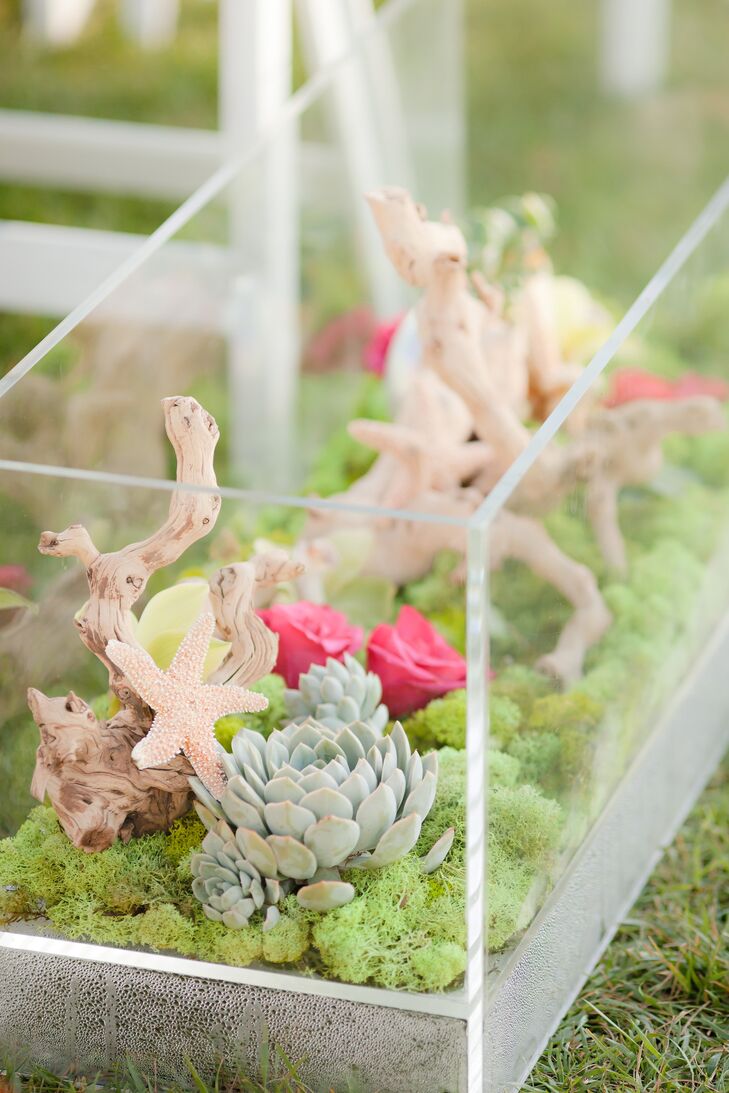 Terrarium-like vases filled with driftwood, moss, flowers, starfish and succulents lined the aisle.