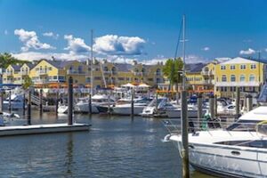 Picture of Saybrook Point Resort & Marina