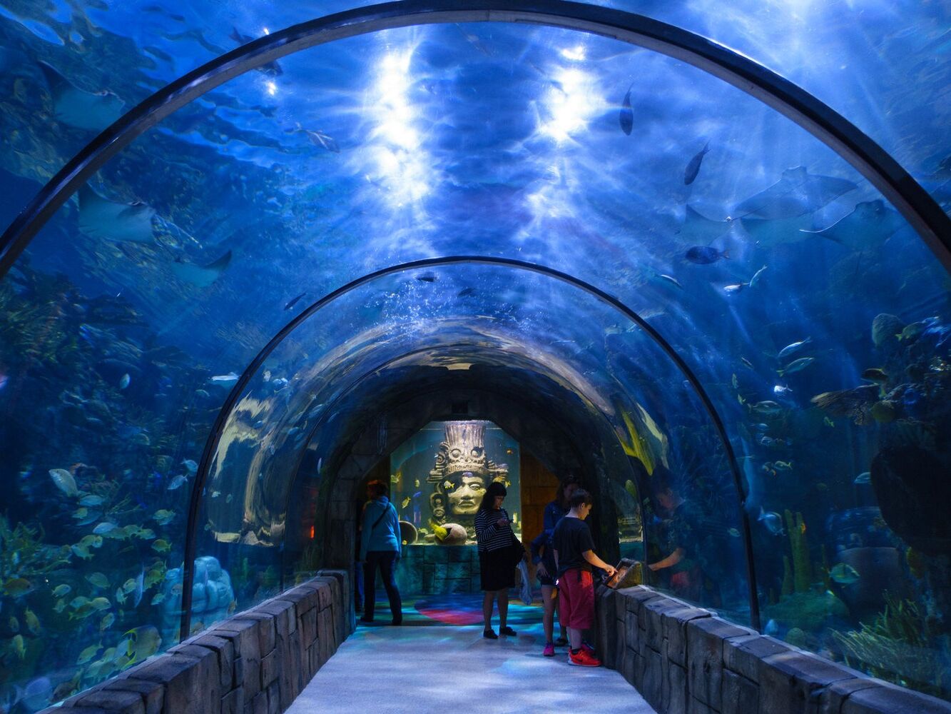 Picture of Audubon Aquarium of the Americas