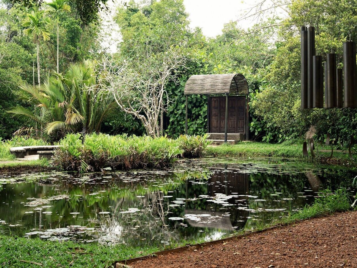 Picture of Lunuganga Garden Tour