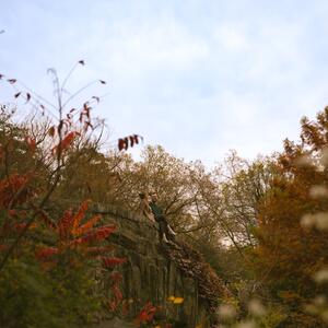 Gallery Photo 31