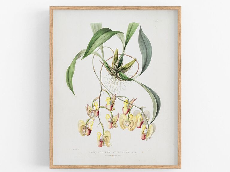 Framed upside down orchid plant wall art