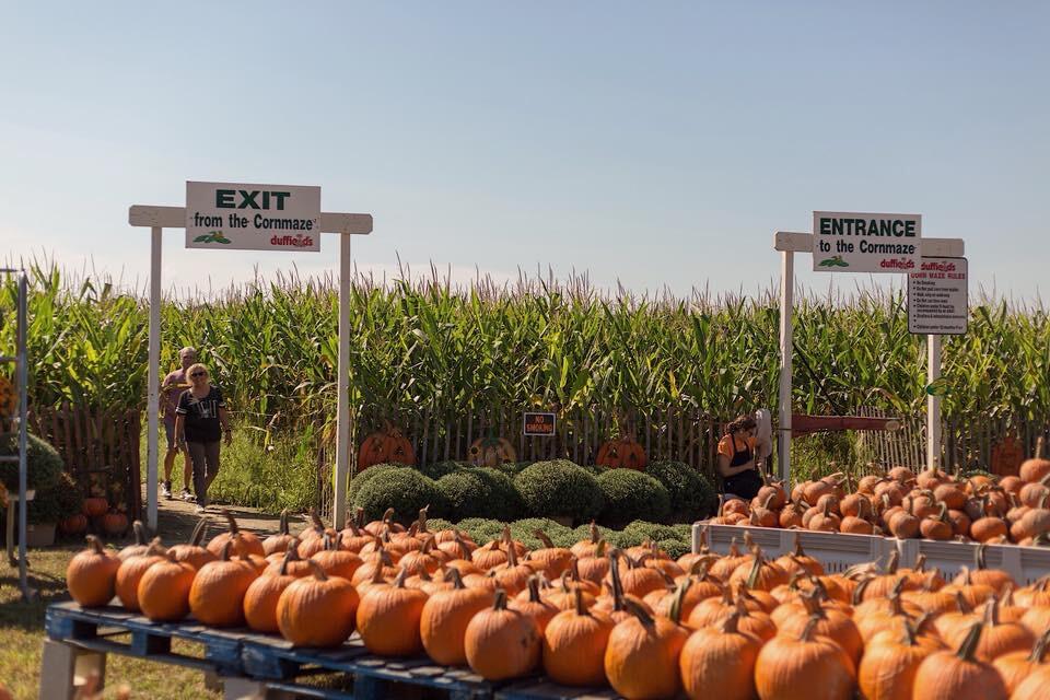 Picture of Duffield's Farm Market