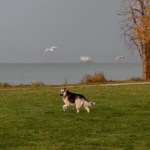 Gallery Photo 14