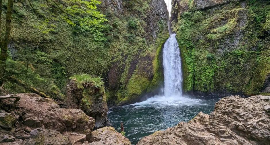 Picture of Wahclella Falls Trail