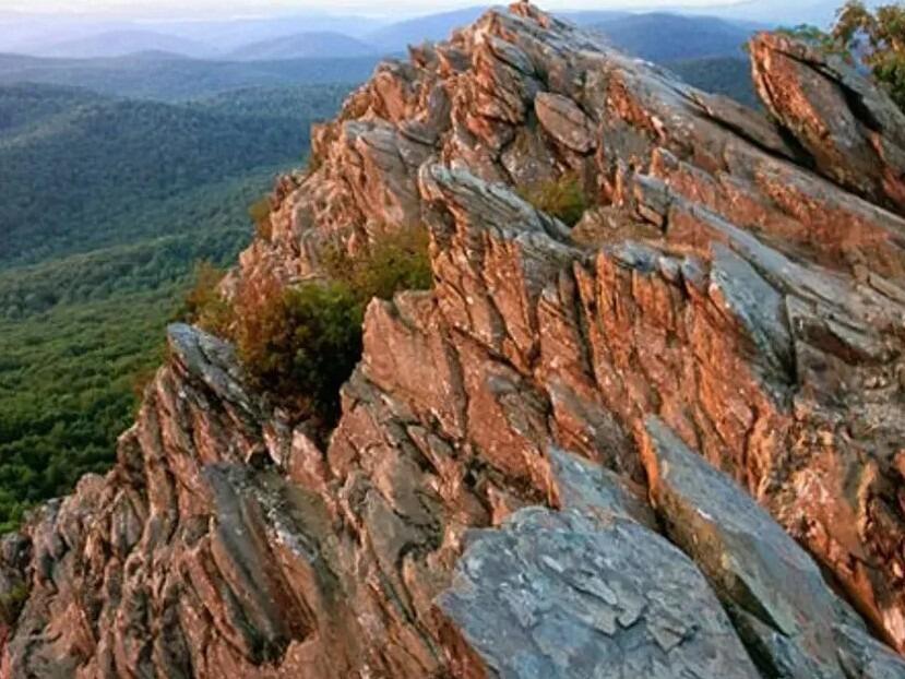 Picture of Trails & Hikes