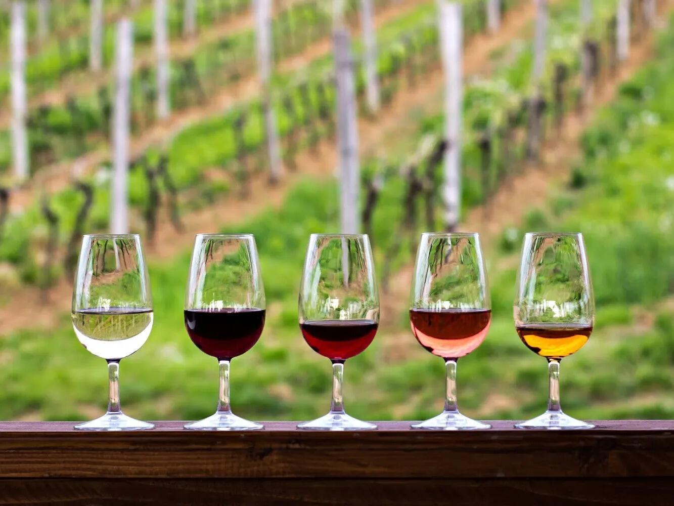 Picture of WINE TOUR ON LELAND OR MISSION PENINSULA