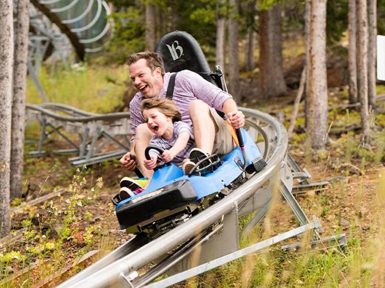 Picture of Alpine Coaster and Slide