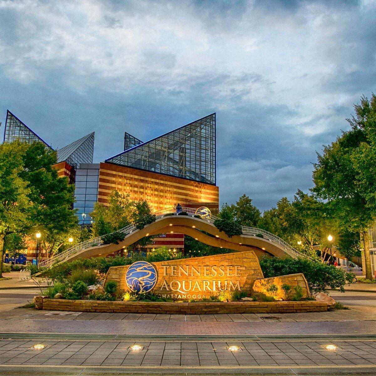 Picture of Tennessee Aquarium