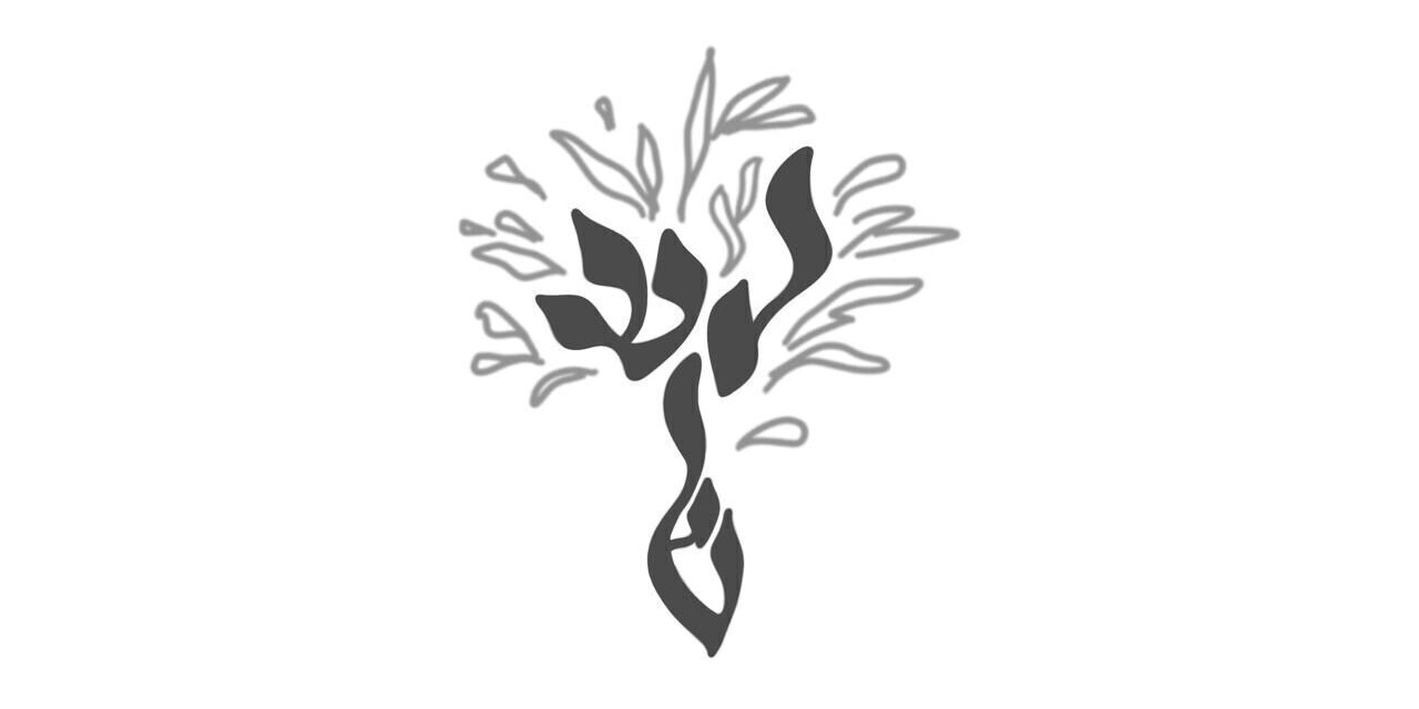 Shneur & Beily Home Page Banner