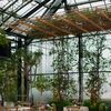 A Fairytale Winter Wedding at Planterra Conservatory in West Bloomfield, Michigan