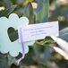 Wildflower Seed-Packet Guest Favors