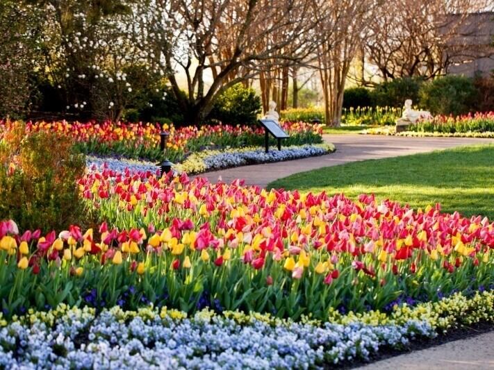 Picture of Cheekwood