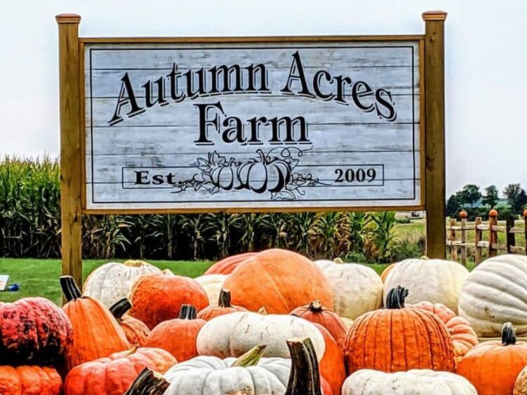 Picture of Autumn Acres Farm - Pumpkin Patch Mankato Minnesota