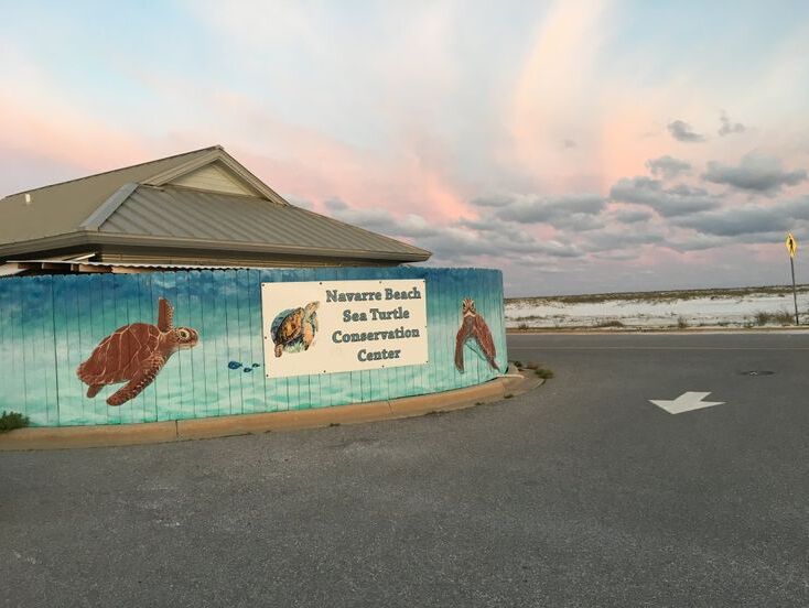 Picture of Navarre Beach Sea Turtle Conservation Center